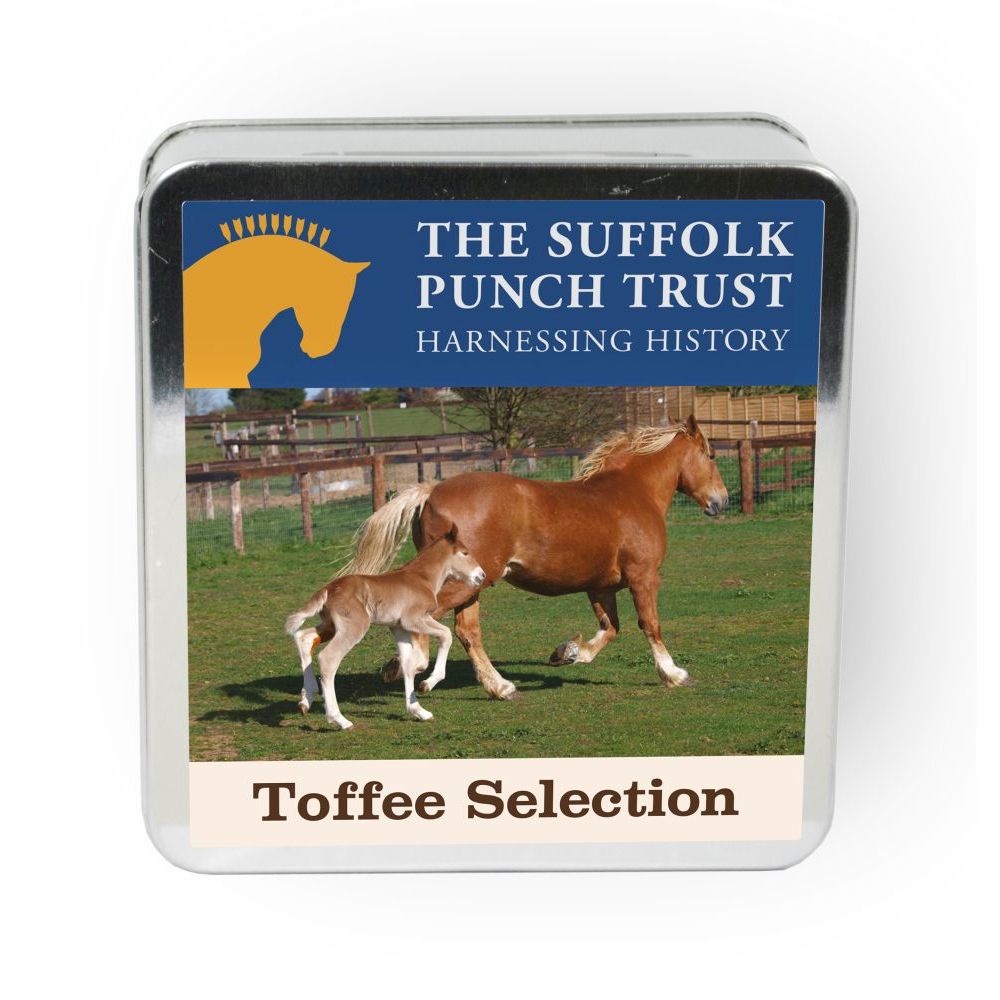 TOFFEE SELECTION